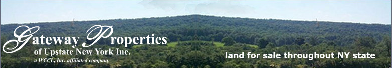 upstate new york hunting land and camps for sale upstate new york hunting cabins for sale upstate new york hunting land